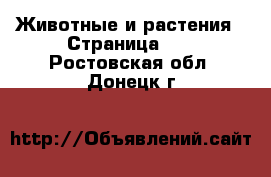  Животные и растения - Страница 13 . Ростовская обл.,Донецк г.